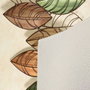 Conceptum Alfombra Eexfab822 Multicolor 80 x 120 cm